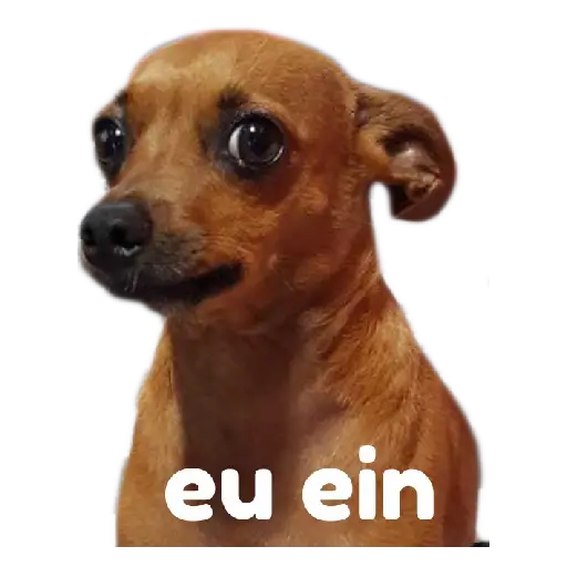 Figurinhas Eu hein para whatsapp