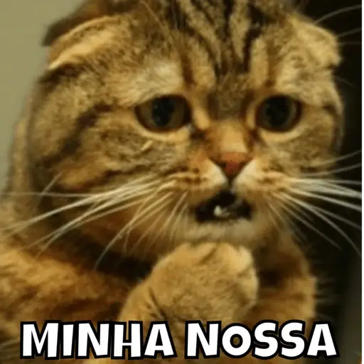 Figurinhas Minha nossa para whatsapp