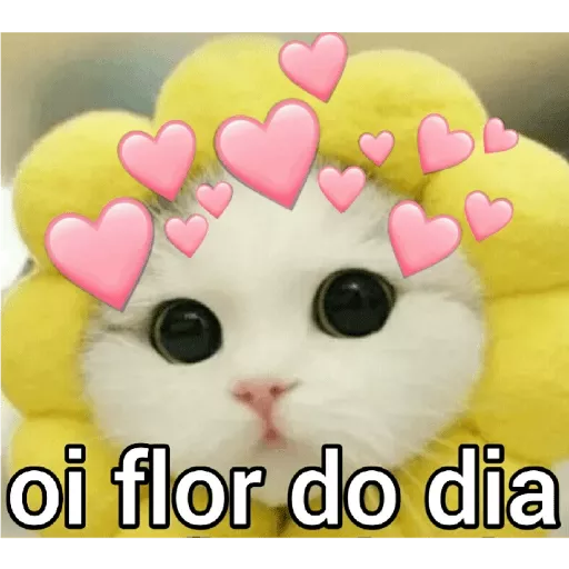 Figurinhas Flor do dia para whatsapp