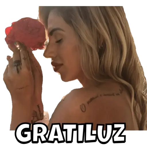 Figurinhas Gratiluz para whatsapp