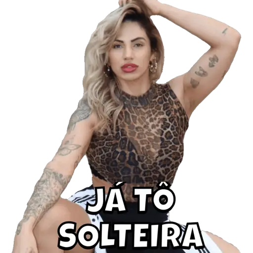 Figurinhas Ja to solteira para whatsapp