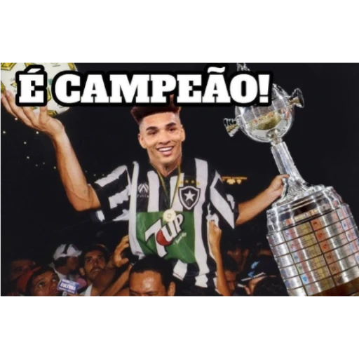 Figurinhas Botafogo campeao libertadores para whatsapp