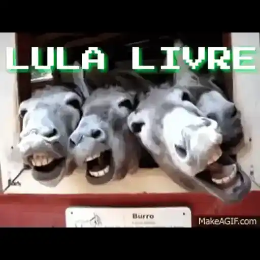 Figurinhas Jumento para whatsapp