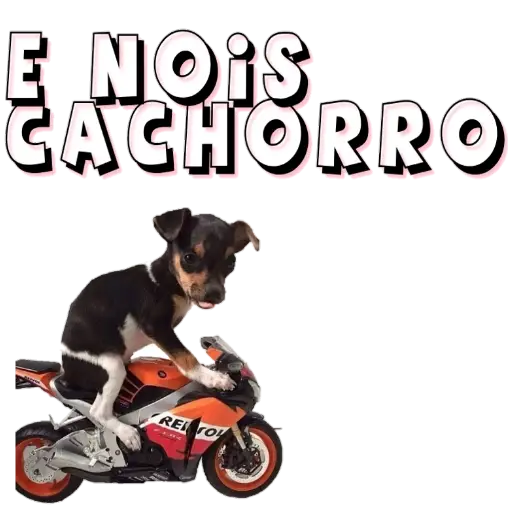 Figurinhas Eh nois cachorro para whatsapp