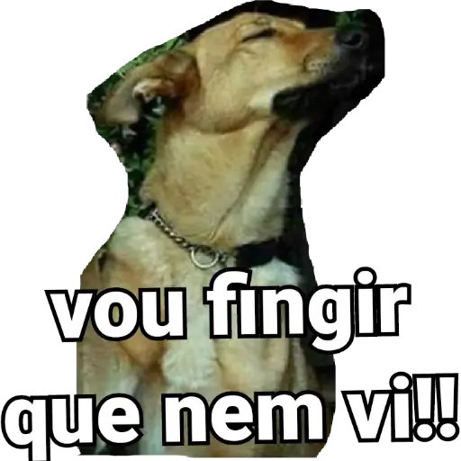 Figurinhas Vou fingir que nao vi para whatsapp