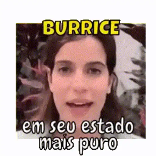 Figurinhas Burrice para whatsapp