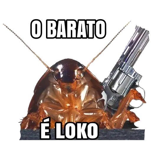 Figurinhas O barato e loco para whatsapp