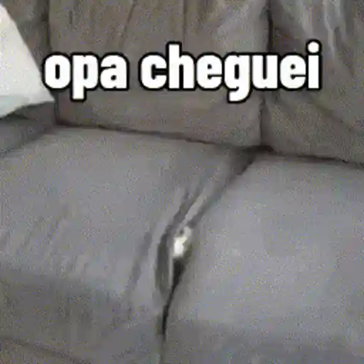 Figurinhas Opa cheguei para whatsapp