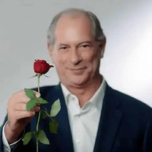 Figurinhas Flor para whatsapp