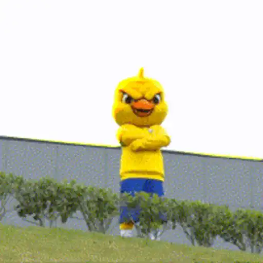 Figurinhas Canarinho pistola para whatsapp