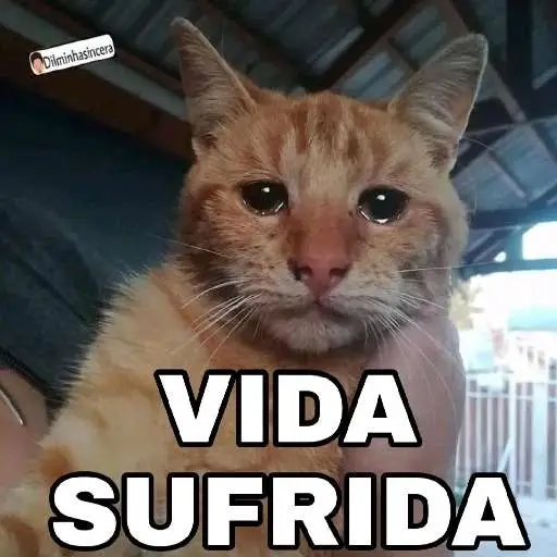 Figurinhas Vida sofrida para whatsapp