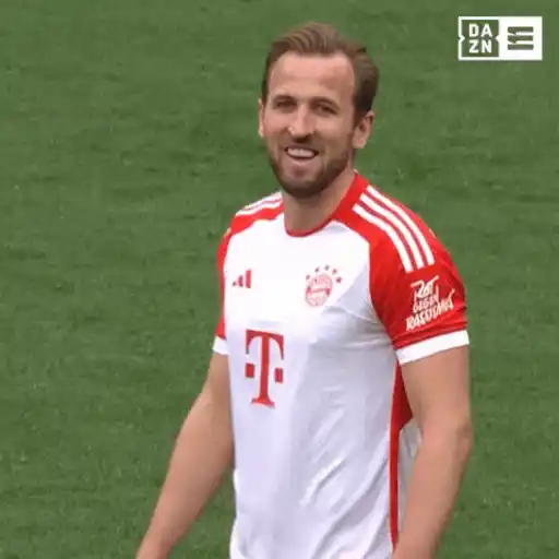 Figurinhas Harry kane para whatsapp