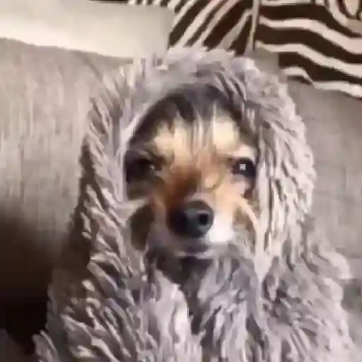 Figurinhas Frio para whatsapp