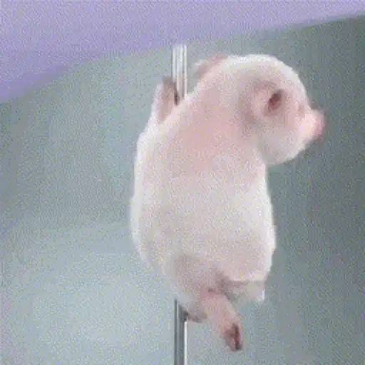 Figurinhas Pole dance para whatsapp