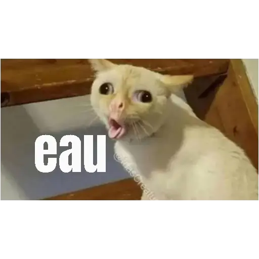 Figurinhas Eau para whatsapp