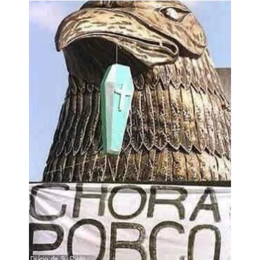 Figurinhas Chora porco para whatsapp